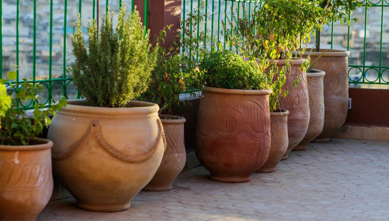 Photo of Patio Balcony in Fes El Bali