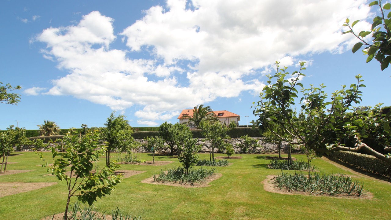 Photo of Outdoor in Santillana del Mar