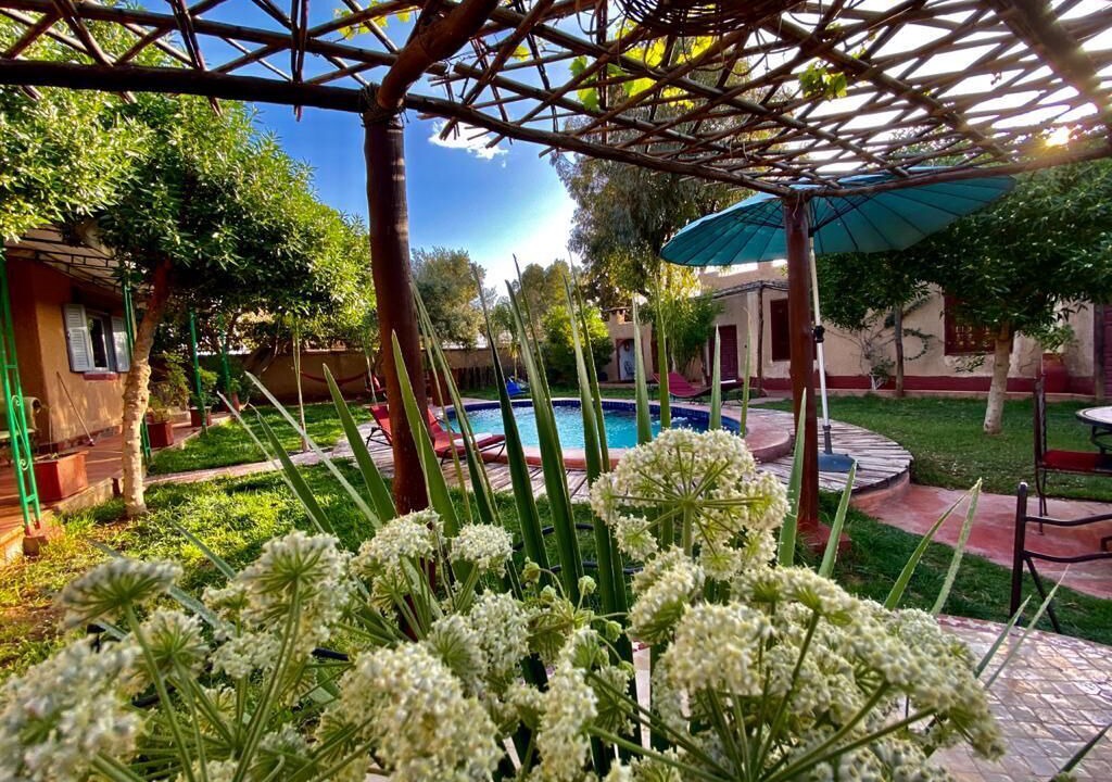 Photo of Outdoor in Aguergour