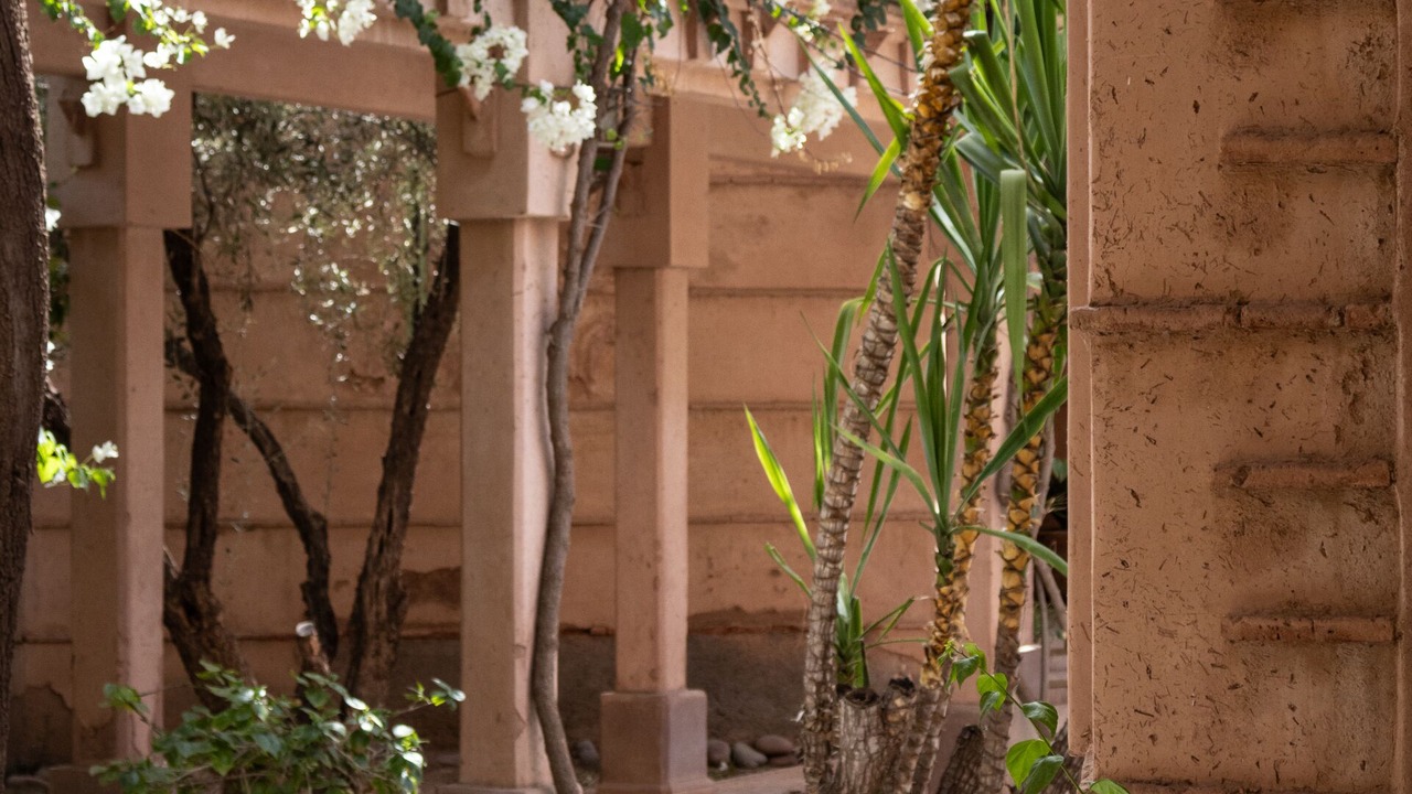 Photo of Outdoor in Palmeraie
