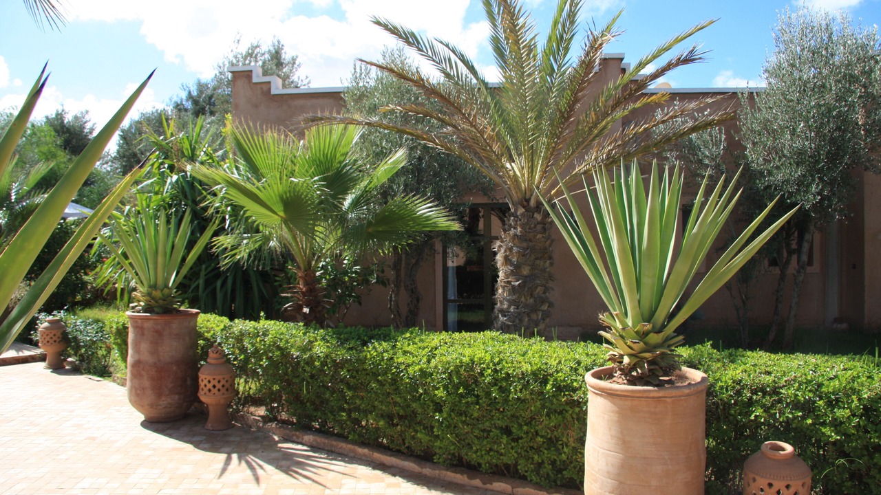 Photo of Outdoor in El Aggada