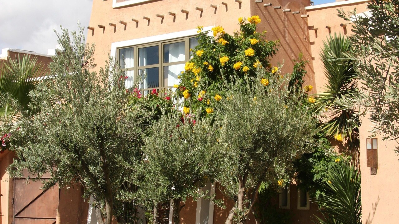 Photo of Outdoor in El Aggada