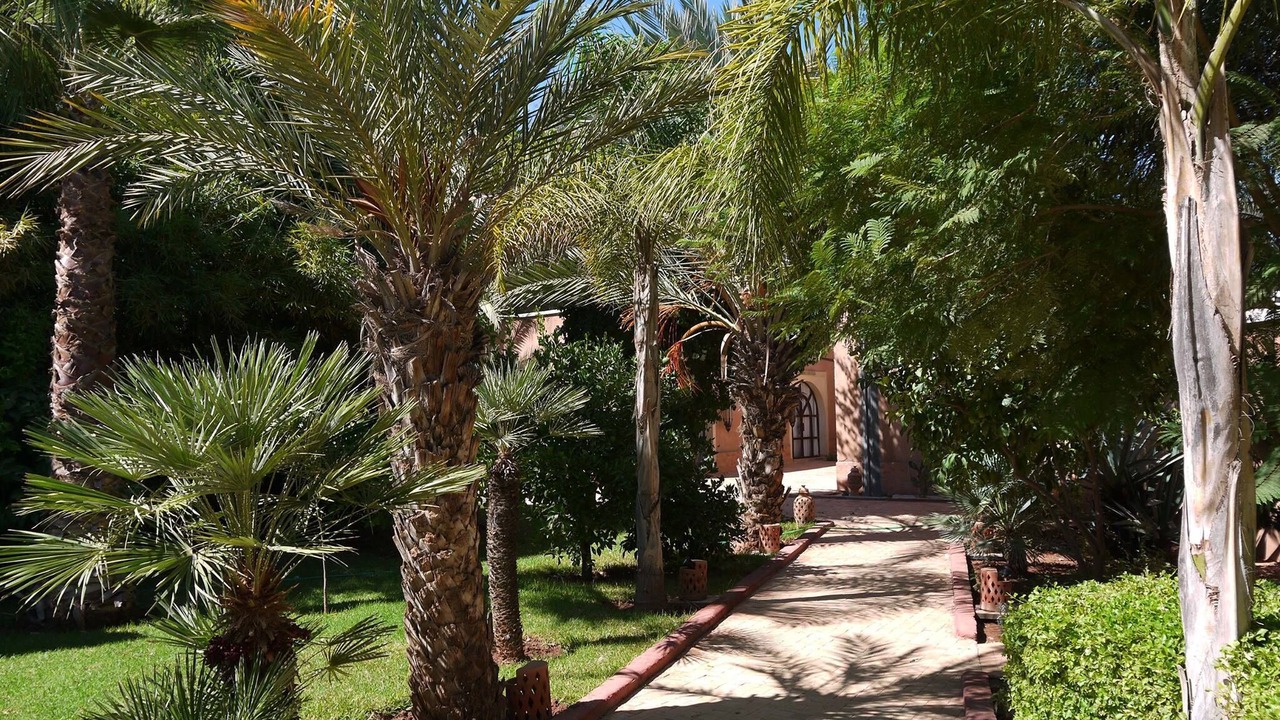 Photo of Outdoor in El Aggada