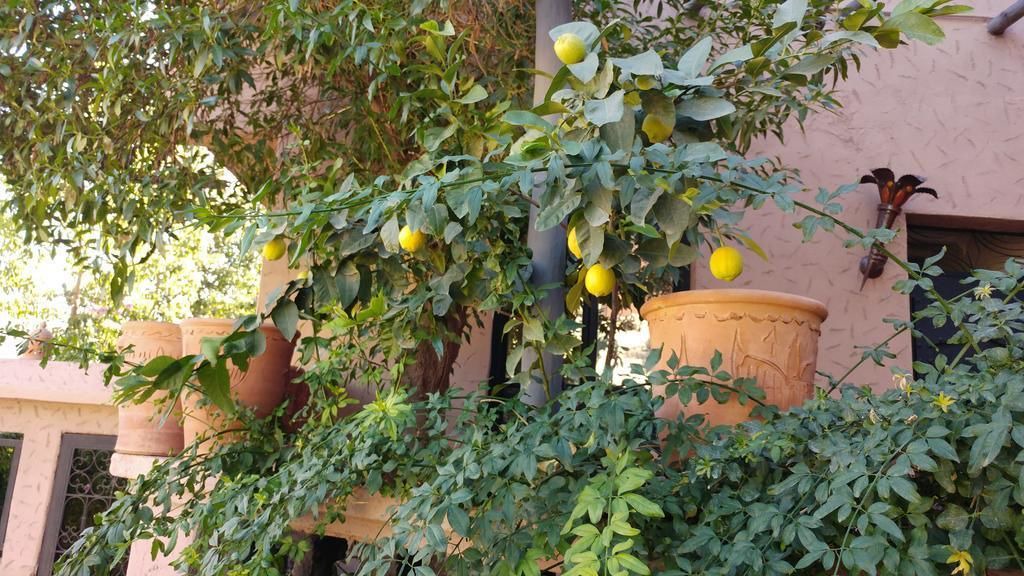 Photo of Outdoor in Ourika