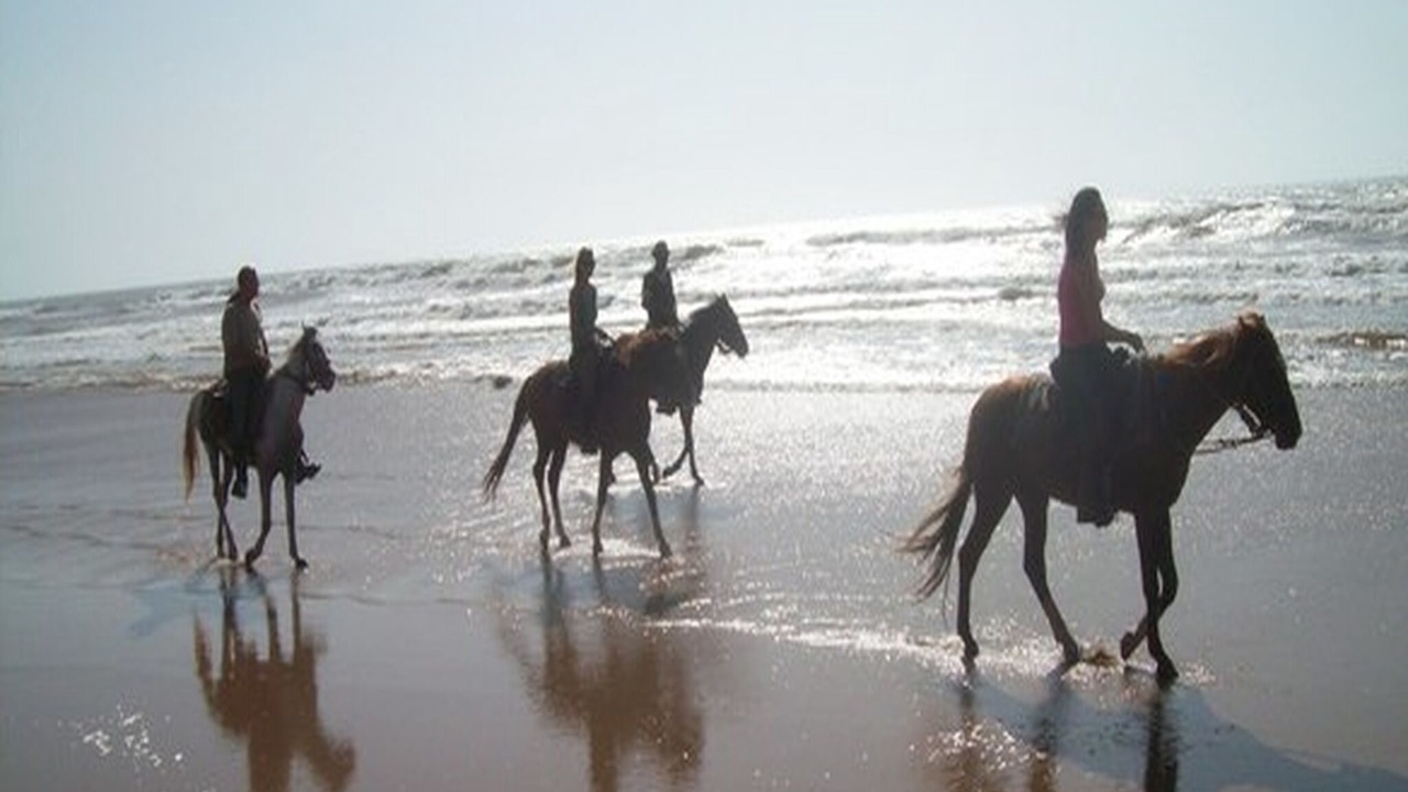 Photo of Others in Agadir