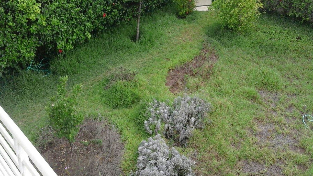 Photo of Outdoor in Founty