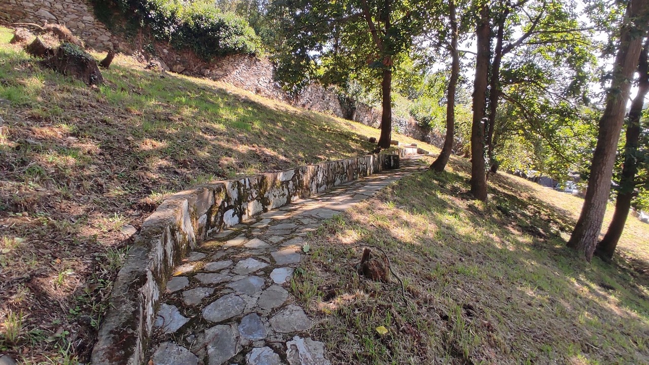 Photo of Outdoor in Cerecedo