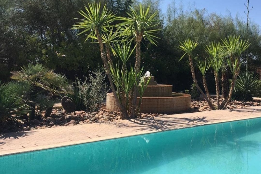 Photo of Outdoor in Marrakech