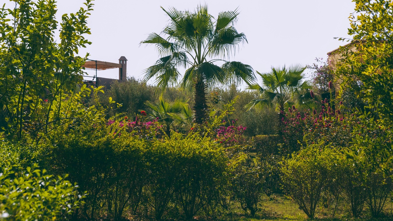 Photo of Outdoor in Marrakech