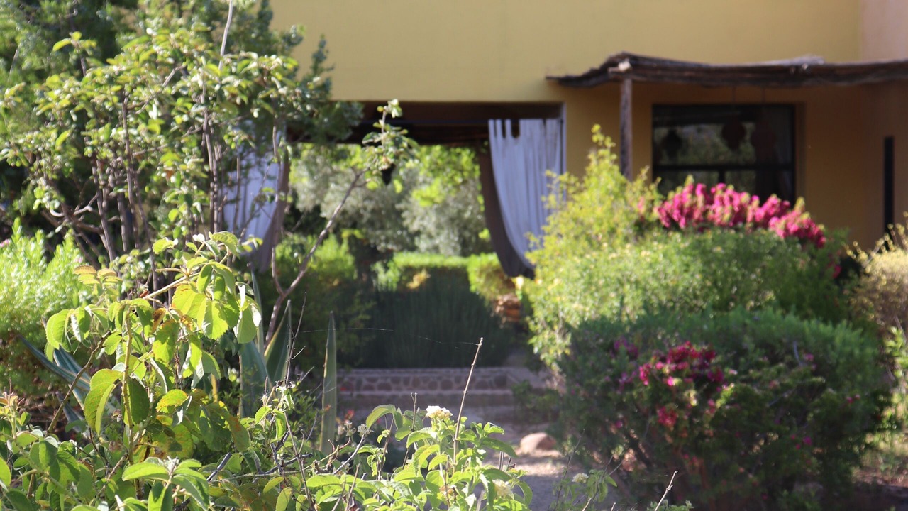 Photo of Outdoor in Marrakech