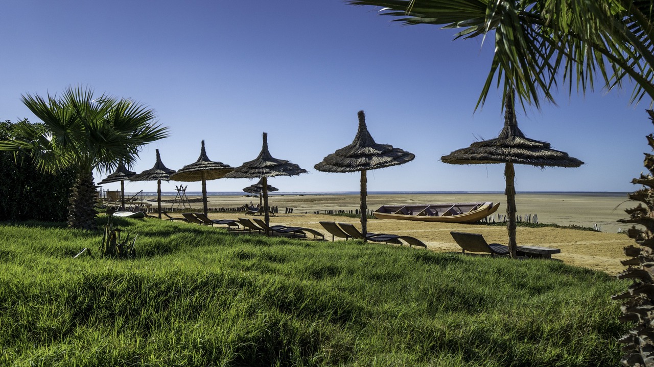 Photo of Others in Dakhla