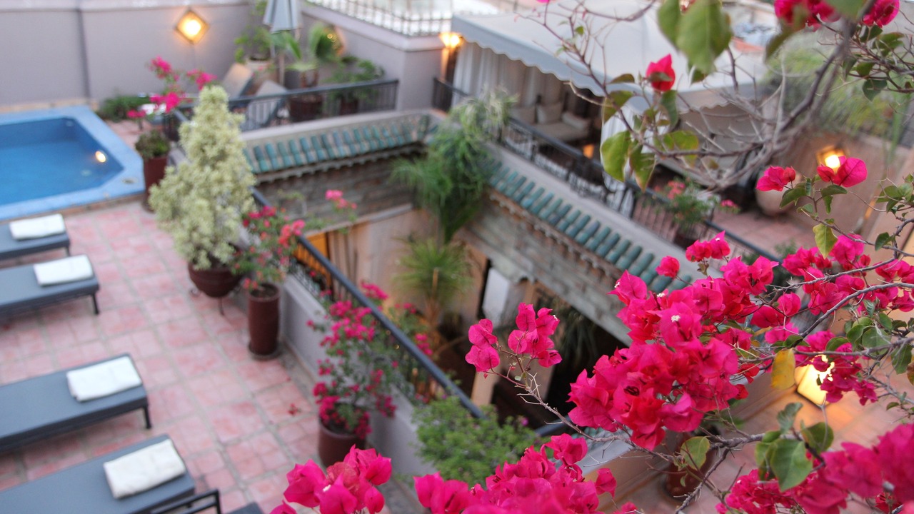 Photo of Outdoor in Mellah