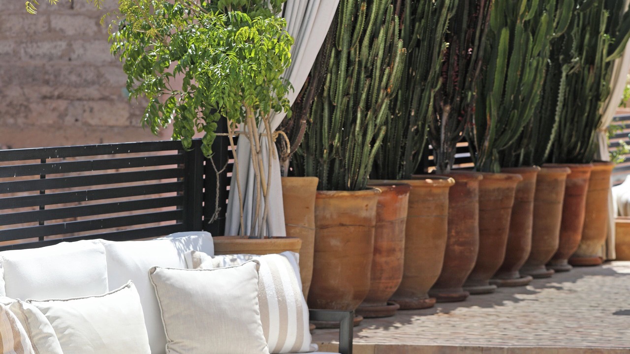 Photo of Patio Balcony in Zaouia Sidi Rhalem