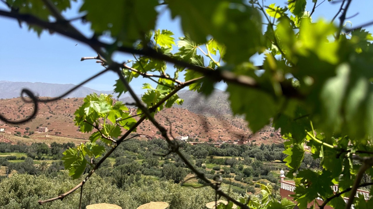 Photo of Outdoor in Argana