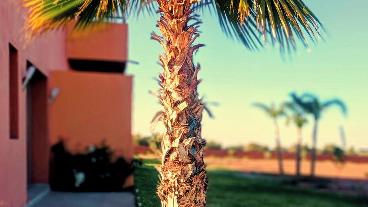 Photo of Outdoor in Oumnass