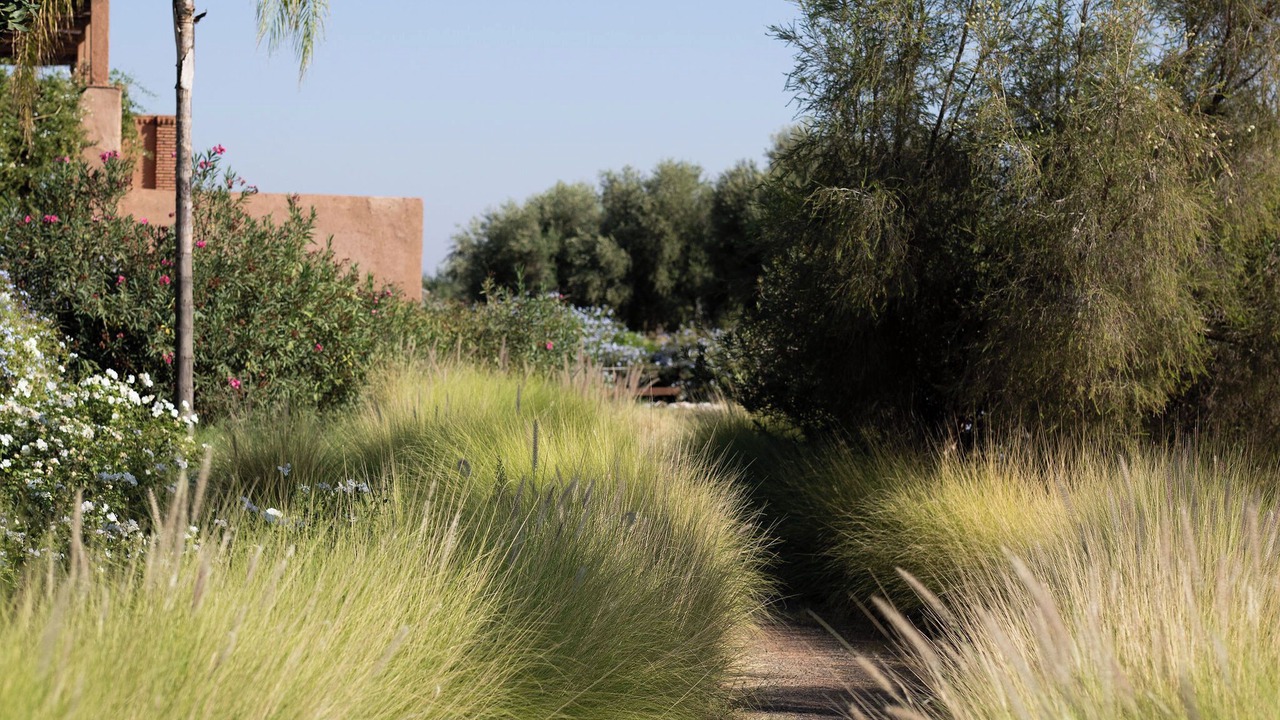 Photo of Outdoor in Sidi Abdallah Ghiat