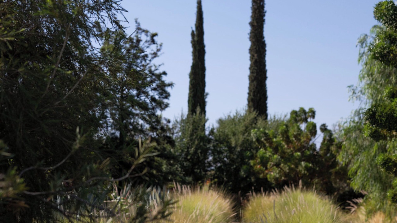 Photo of Outdoor in Sidi Abdallah Ghiat