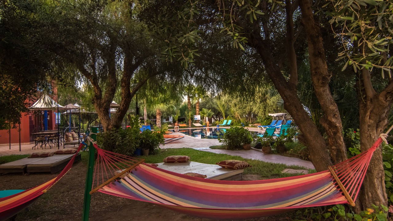 Photo of Outdoor in Palmeraie