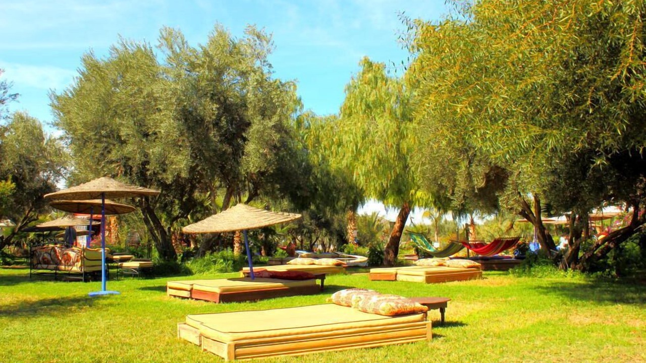 Photo of Outdoor in Palmeraie