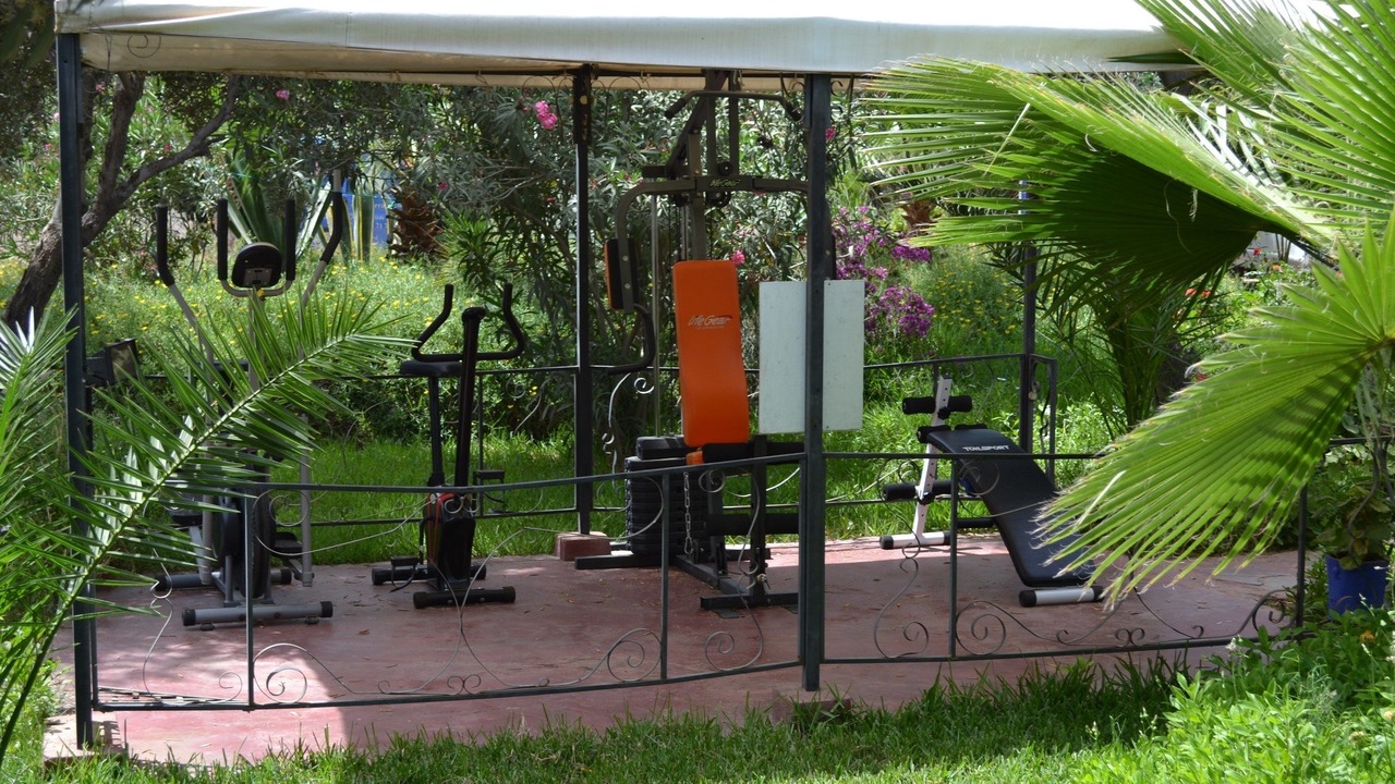 Photo of Others in Palmeraie