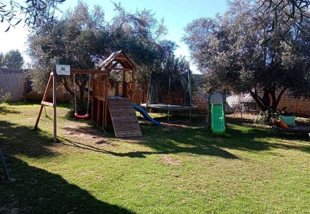 Photo of Outdoor in Palmeraie