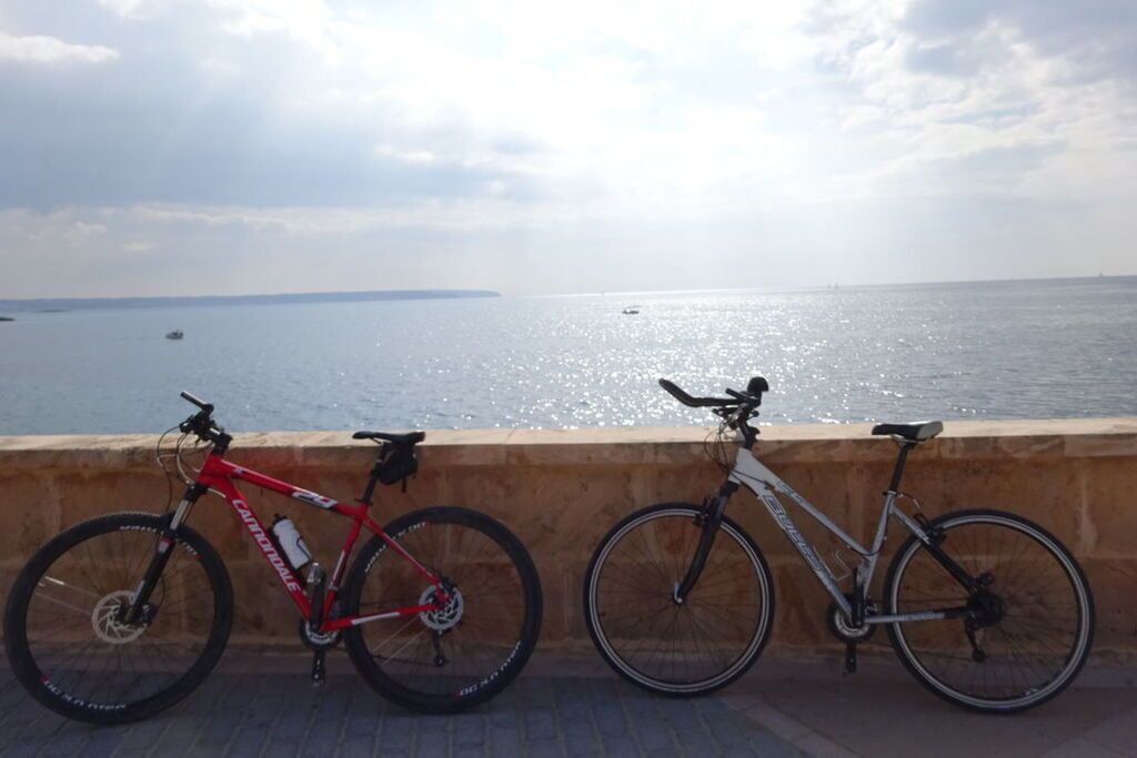 Photo of Others in Cala Blava
