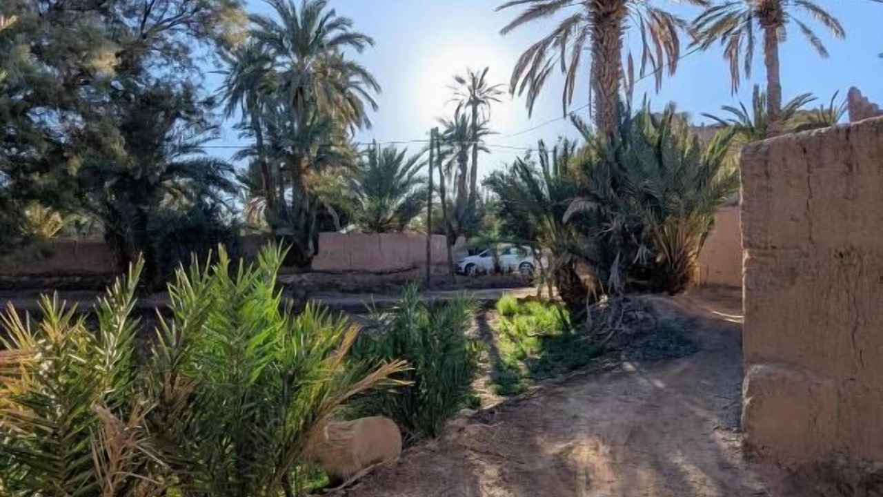 Photo of Outdoor in Skoura