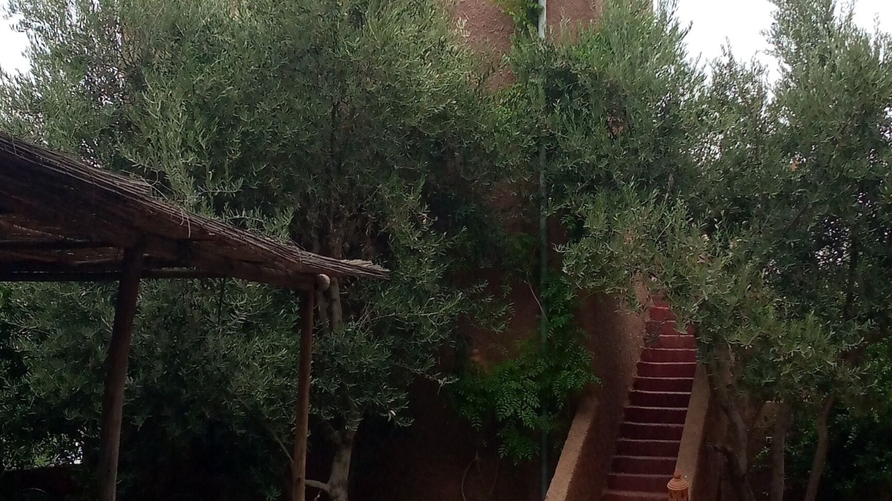 Photo of Outdoor in Camp El Ghoul