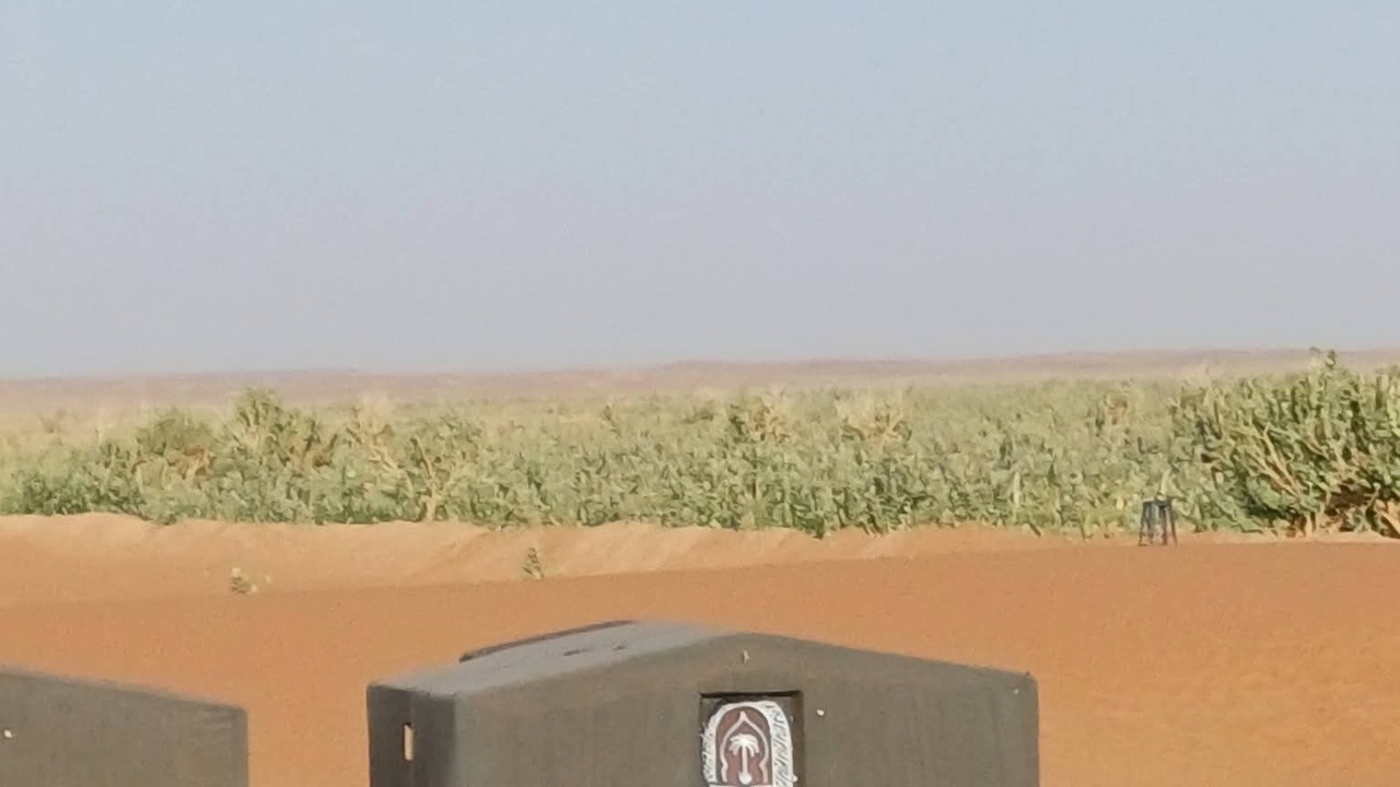 Photo of Others in M'Hamid El Ghizlane