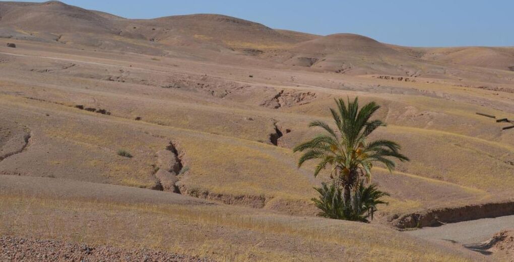Photo of Others in Sidi Badhaj