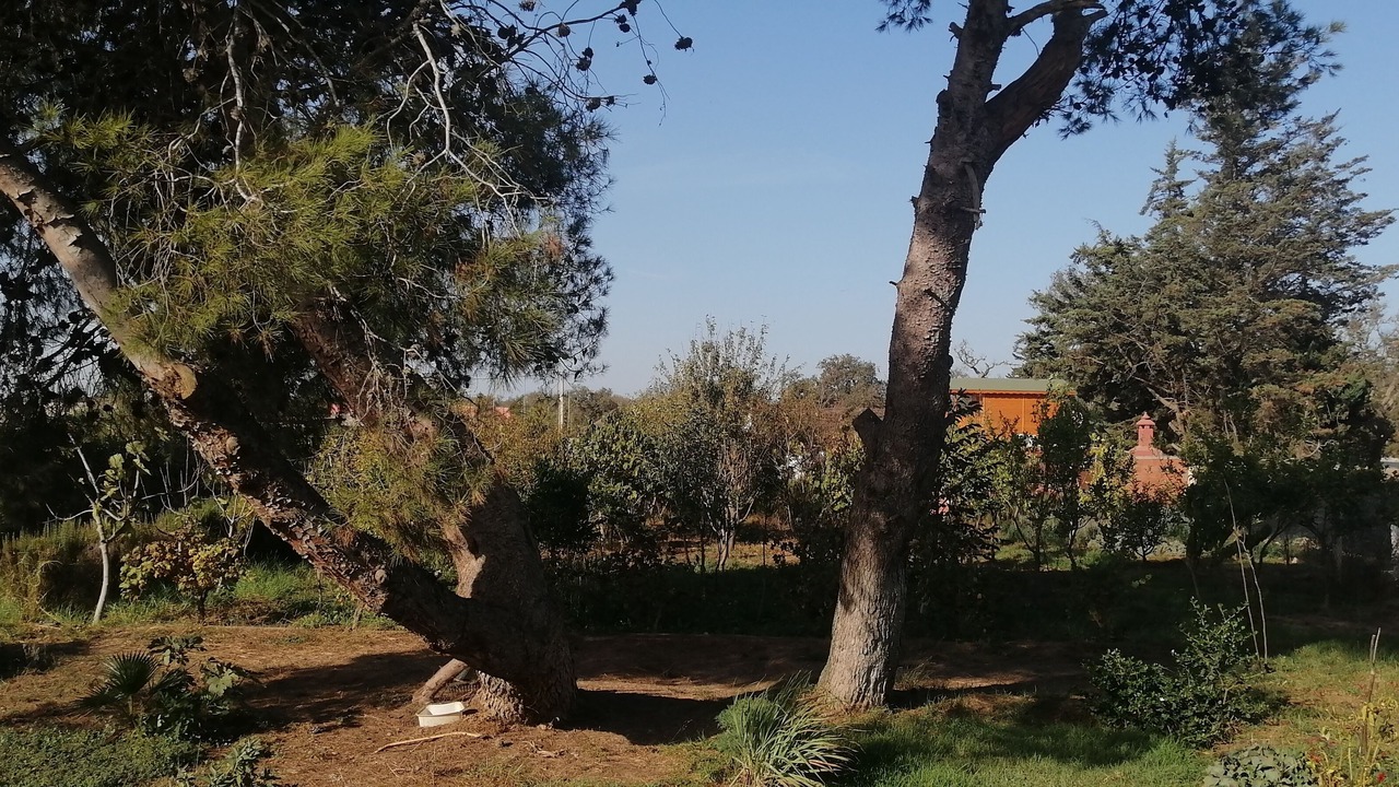 Photo of Outdoor in Ain Tizgha