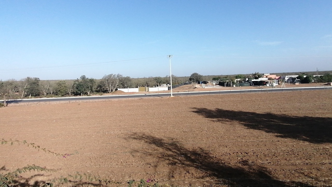 Photo of Outdoor in Ain Tizgha