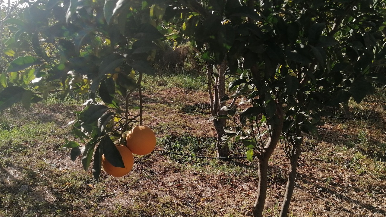 Photo of Outdoor in Ain Tizgha