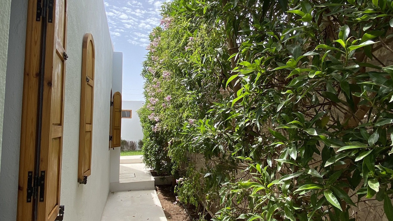 Photo of Outdoor in Ghazoua