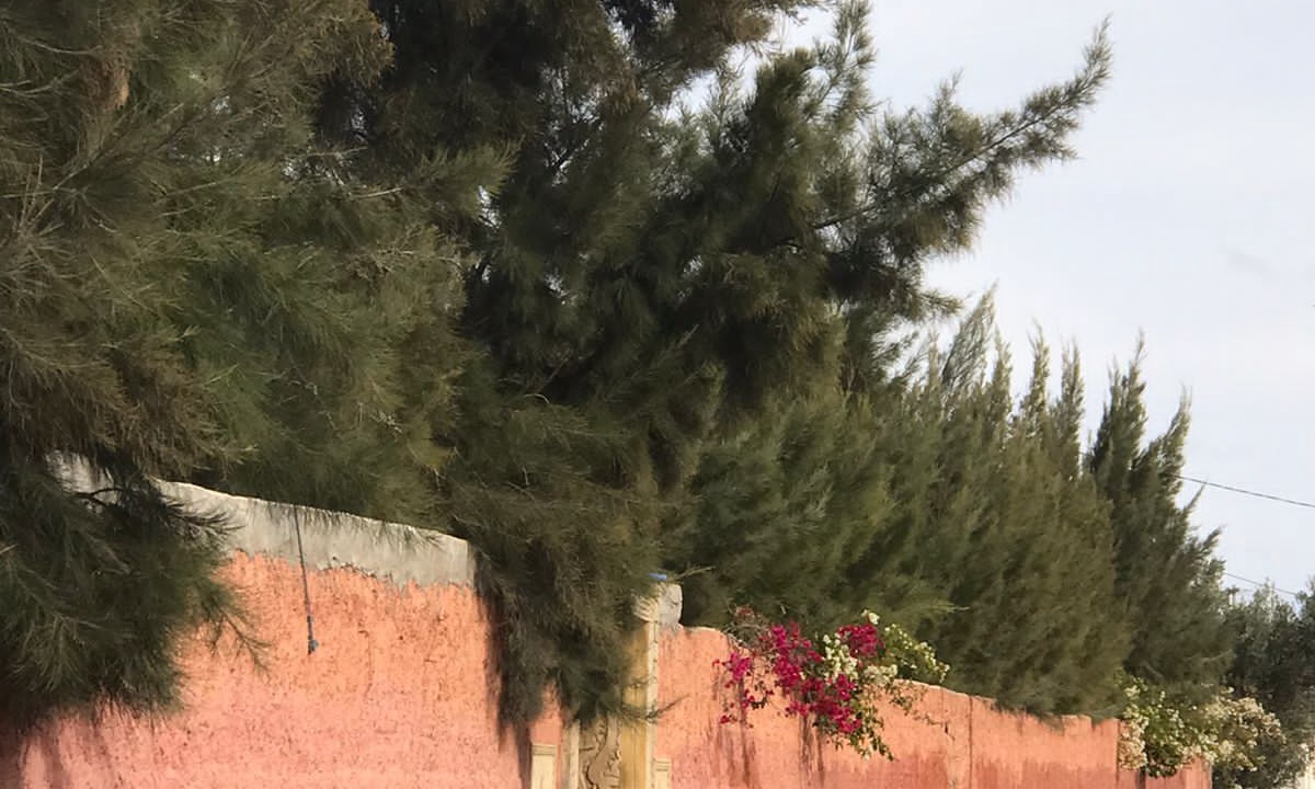 Photo of Outdoor in Sidi Kaouki