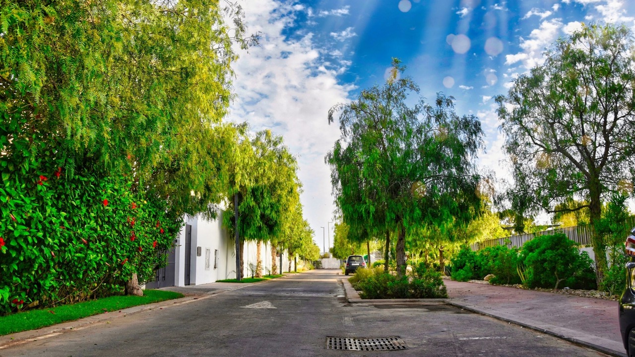 Photo of Outdoor in Tamraght
