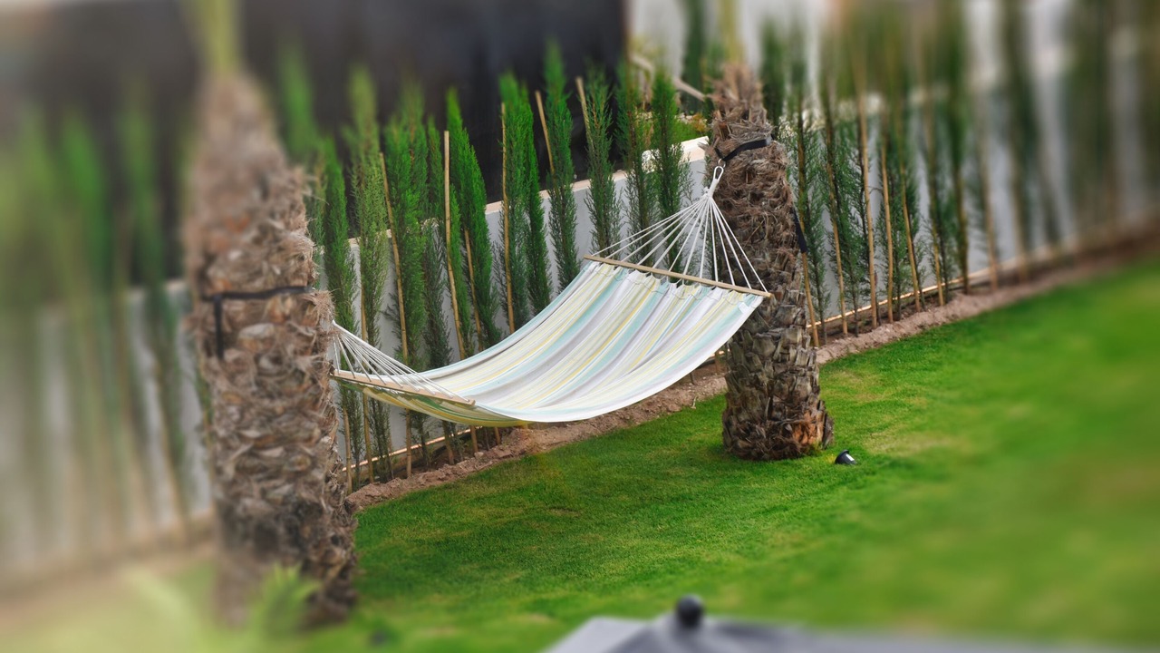 Photo of Outdoor in Tamraght
