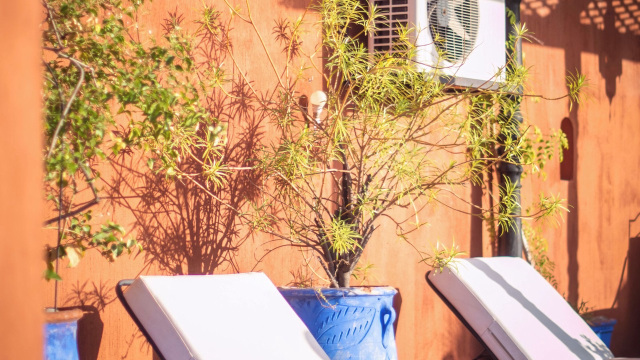 Photo of Outdoor in Riad Zitoun Jdid