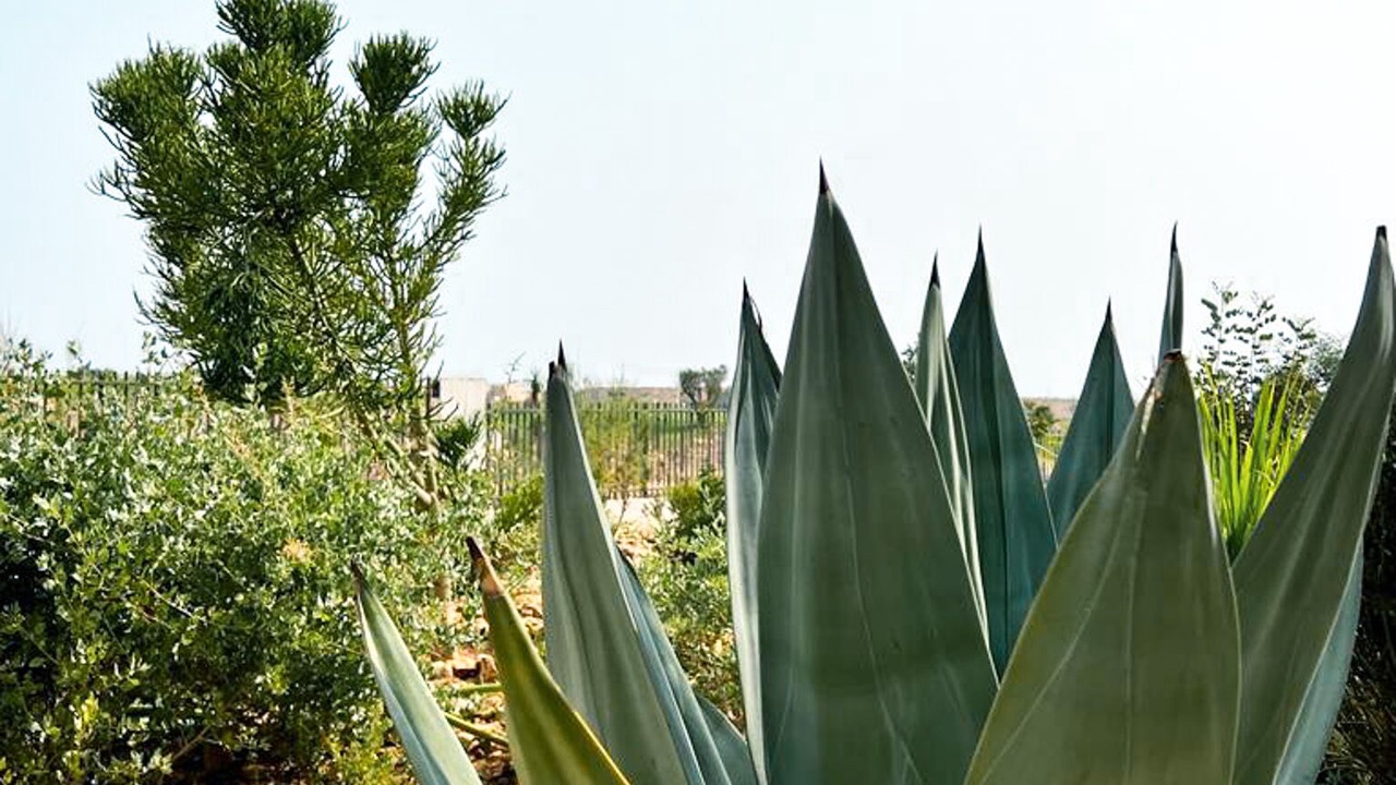 Photo of Outdoor in Tamraght