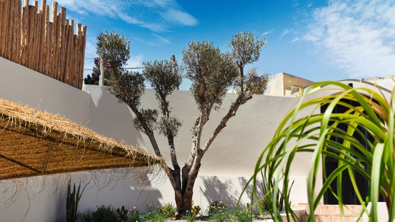 Photo of Outdoor in Cite Charaf