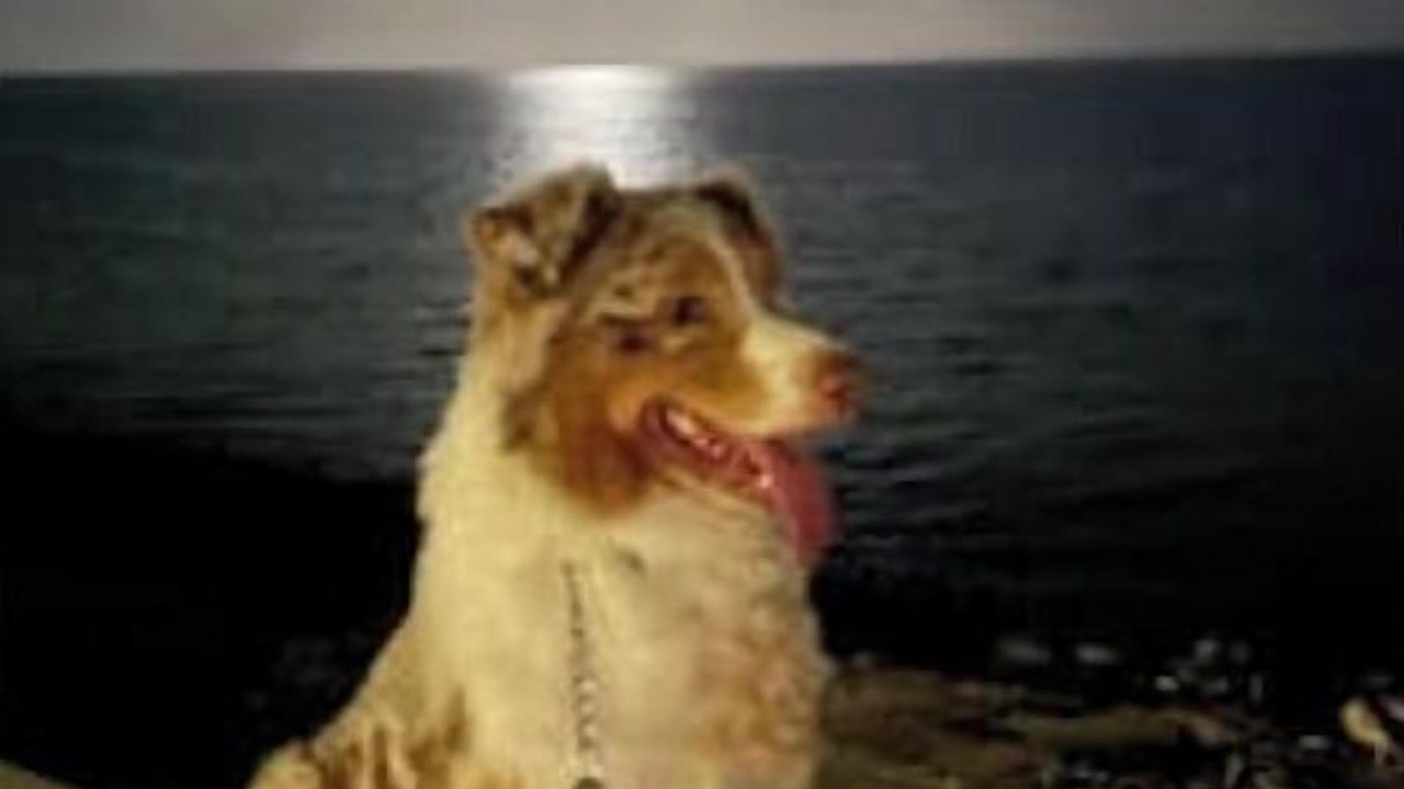Photo of Others in Dakhla