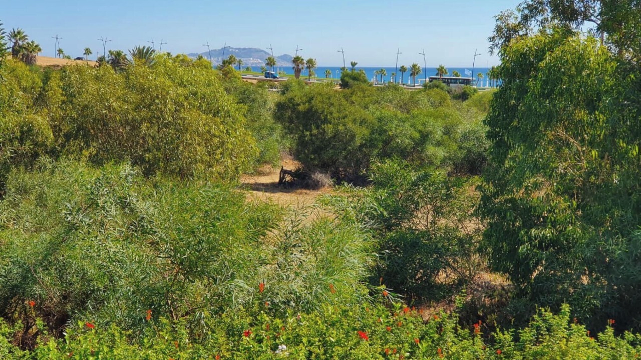 Photo of Outdoor in Fnideq