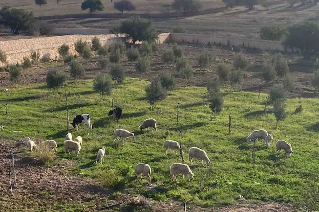 Photo of Outdoor in Tidzi