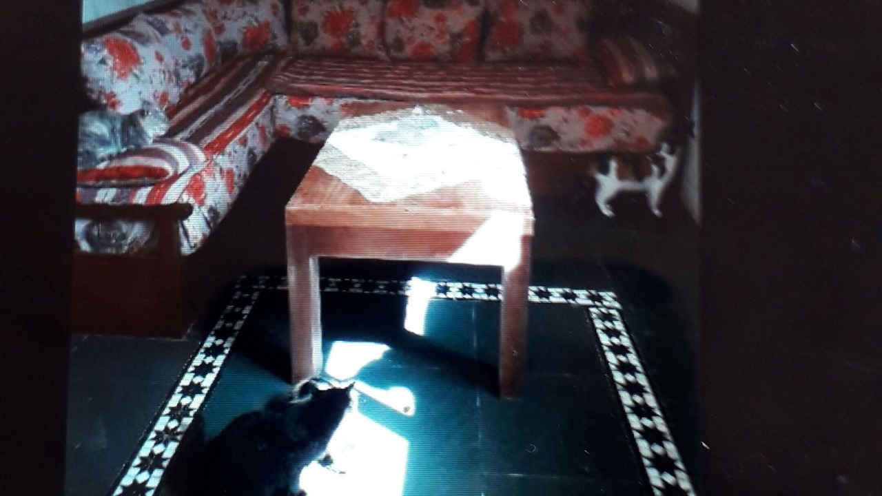 Photo of Bedroom in Ahl Agadir