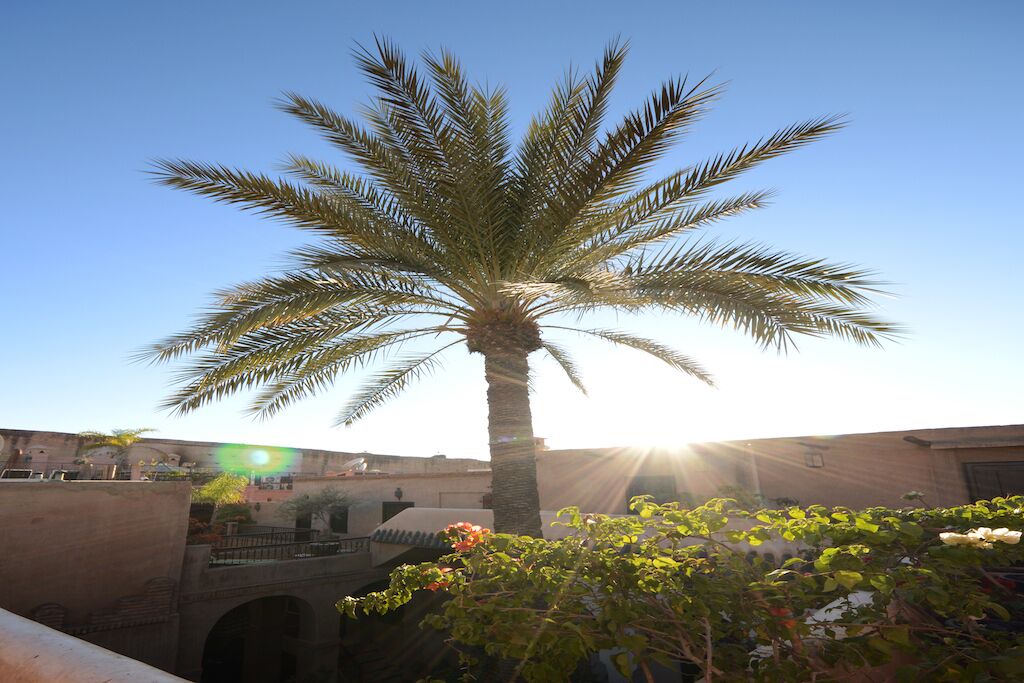 Photo of Outdoor in Mellah