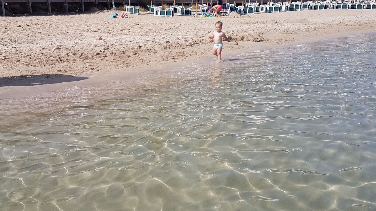 Photo of Others in Arenal d'en Castell