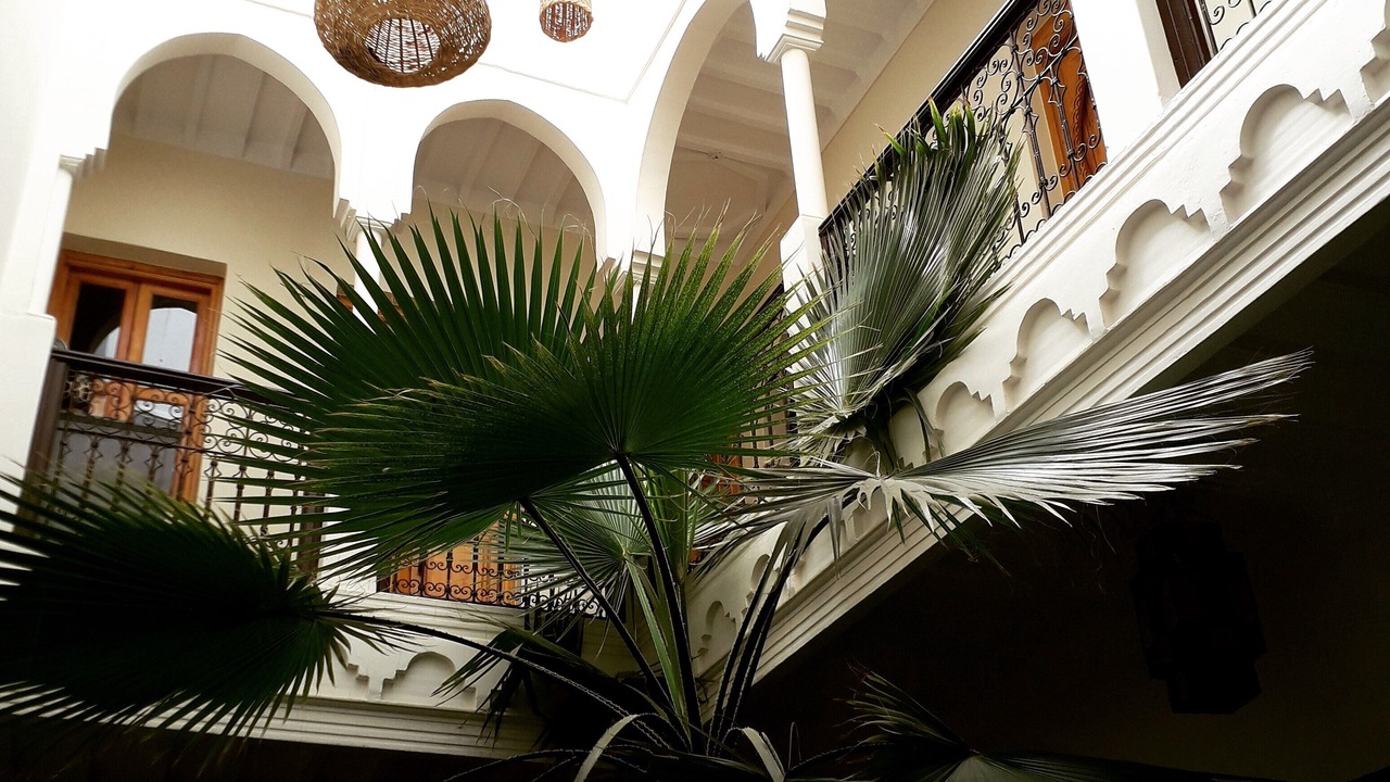 Photo of Outdoor in Riad Zitoun Jdid