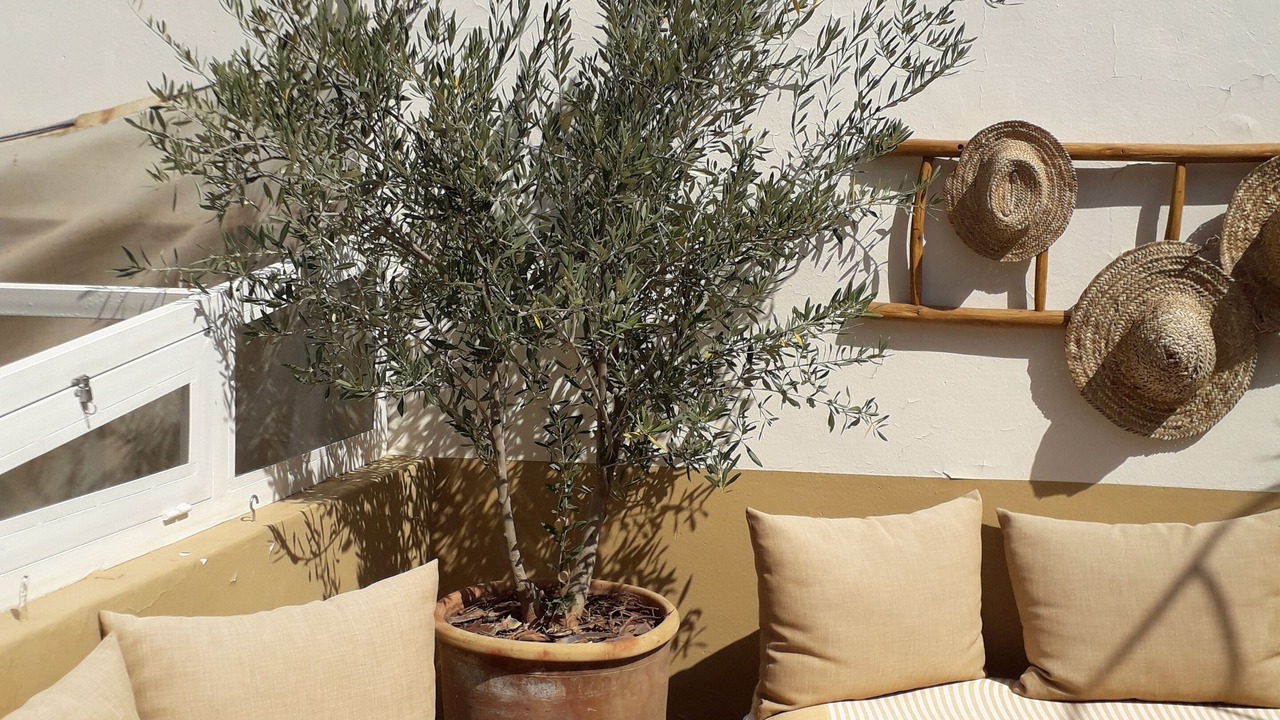 Photo of Patio Balcony in Riad Zitoun Jdid