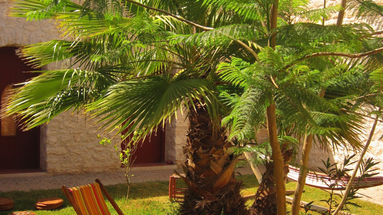 Photo of Patio Balcony in Sidi Kaouki
