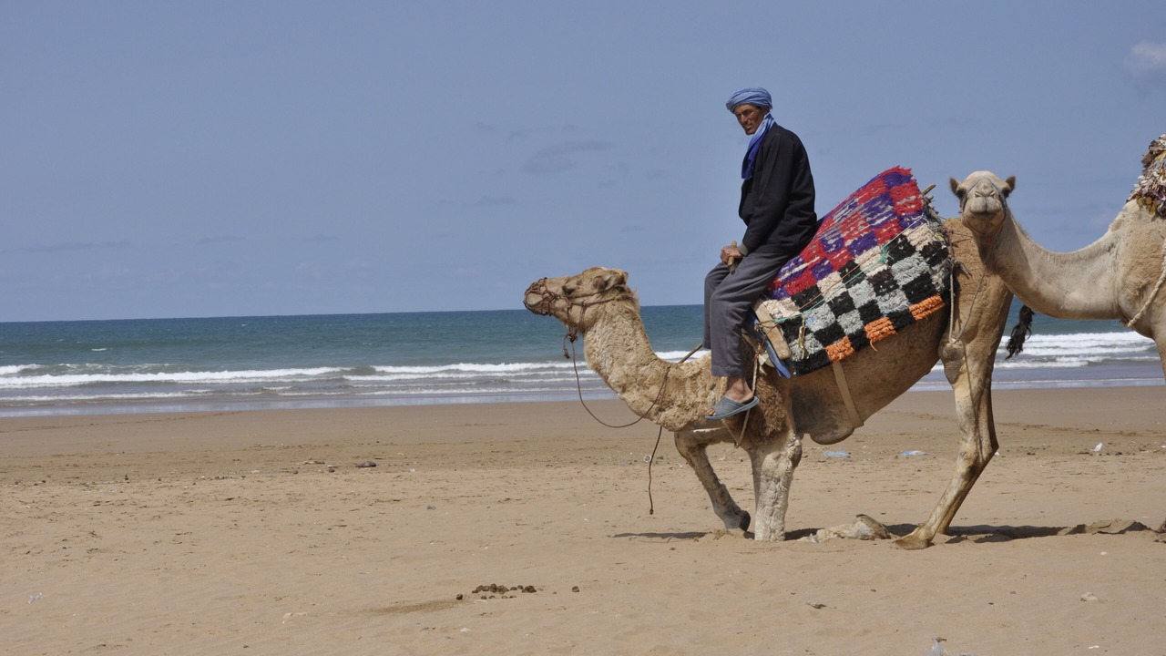 Photo of Others in Sidi Kaouki